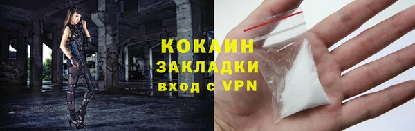 стафф Алексин