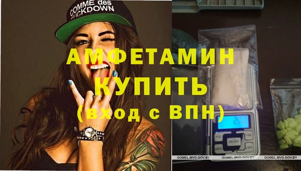 стафф Алексин