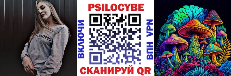 Галлюциногенные грибы Psilocybe  наркотики  Динская 